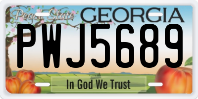 GA license plate PWJ5689