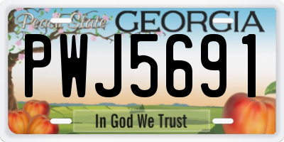 GA license plate PWJ5691