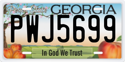 GA license plate PWJ5699