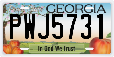 GA license plate PWJ5731