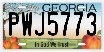 GA license plate PWJ5773