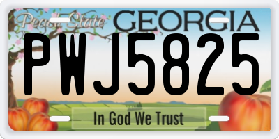 GA license plate PWJ5825
