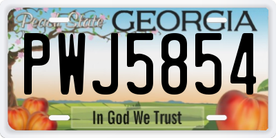 GA license plate PWJ5854
