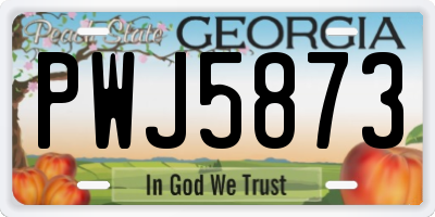 GA license plate PWJ5873