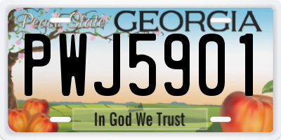 GA license plate PWJ5901