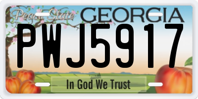 GA license plate PWJ5917