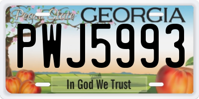 GA license plate PWJ5993