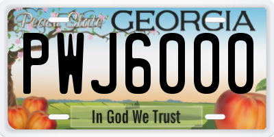 GA license plate PWJ6000