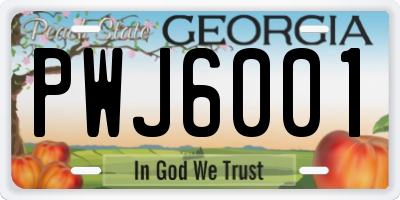 GA license plate PWJ6001