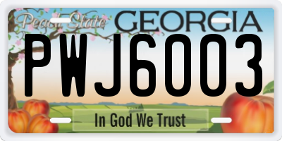 GA license plate PWJ6003