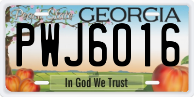 GA license plate PWJ6016