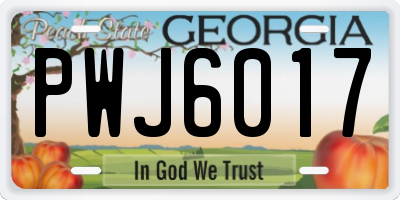 GA license plate PWJ6017
