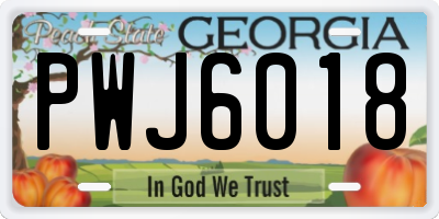 GA license plate PWJ6018