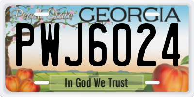 GA license plate PWJ6024