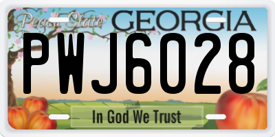 GA license plate PWJ6028
