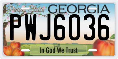 GA license plate PWJ6036