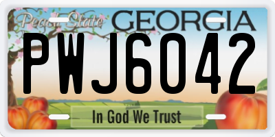 GA license plate PWJ6042