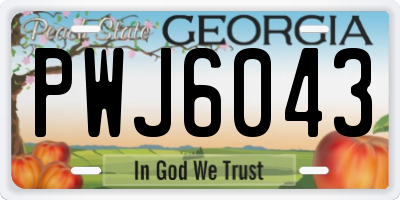 GA license plate PWJ6043