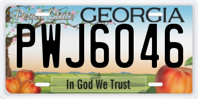 GA license plate PWJ6046