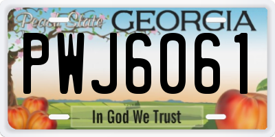 GA license plate PWJ6061