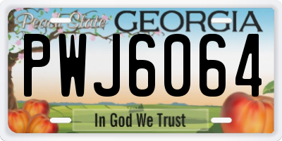 GA license plate PWJ6064