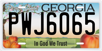 GA license plate PWJ6065