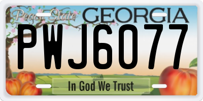 GA license plate PWJ6077