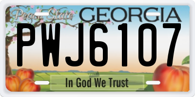 GA license plate PWJ6107