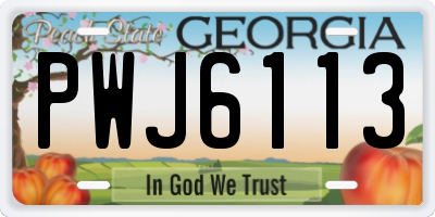 GA license plate PWJ6113
