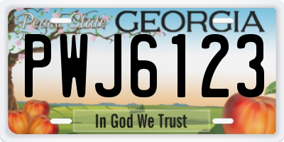 GA license plate PWJ6123