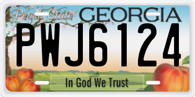 GA license plate PWJ6124
