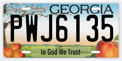GA license plate PWJ6135