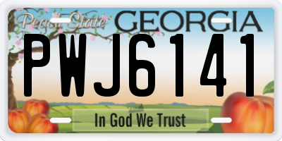 GA license plate PWJ6141