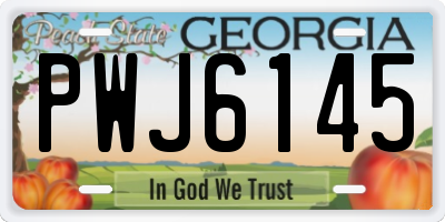 GA license plate PWJ6145