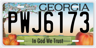 GA license plate PWJ6173