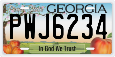 GA license plate PWJ6234