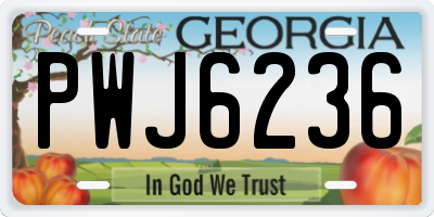 GA license plate PWJ6236