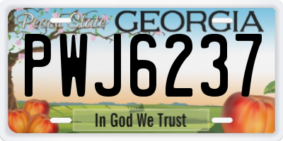 GA license plate PWJ6237