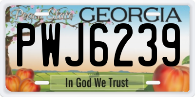 GA license plate PWJ6239