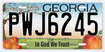 GA license plate PWJ6245