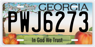 GA license plate PWJ6273