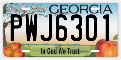 GA license plate PWJ6301