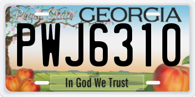 GA license plate PWJ6310