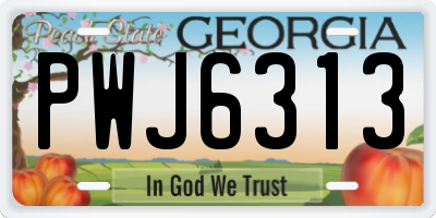 GA license plate PWJ6313