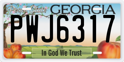 GA license plate PWJ6317