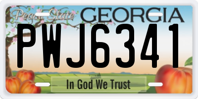 GA license plate PWJ6341