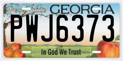 GA license plate PWJ6373
