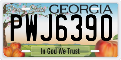 GA license plate PWJ6390