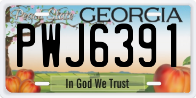 GA license plate PWJ6391