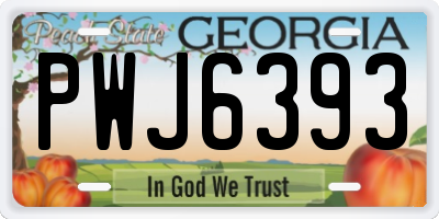 GA license plate PWJ6393